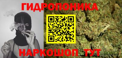 амф Надым